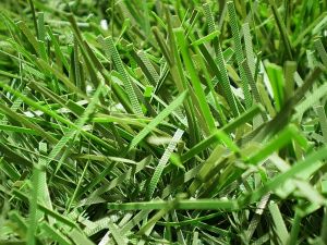 um�l� v�no�n� strome�ek na v�noce